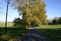 IMG_0449.JPG