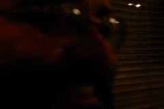 Cote', Up Close at Lovejoy's
