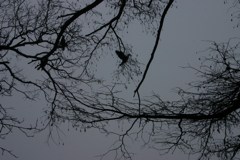 Town Lake Hike & Bike Trail - Early Morning