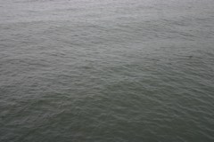 IMG_3221.JPG