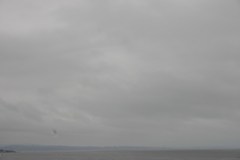 IMG_3228.JPG