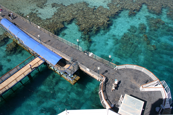eilat_reef.jpg