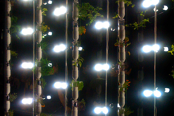 Britta's and Rebecca's Windowfarms.